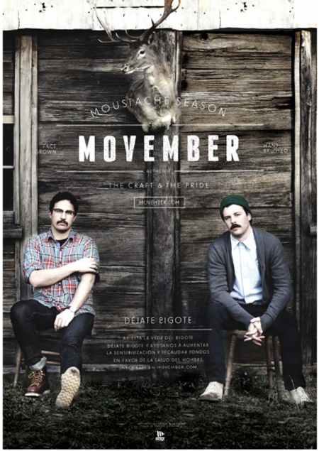 póster Movember